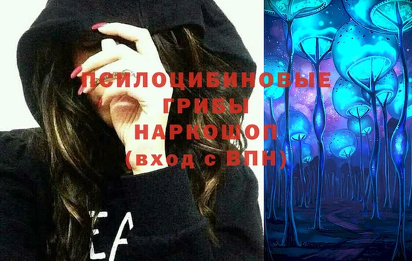 молекула духа Вязьма